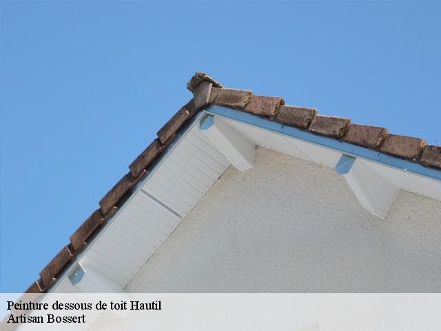 Peinture dessous de toit  78510